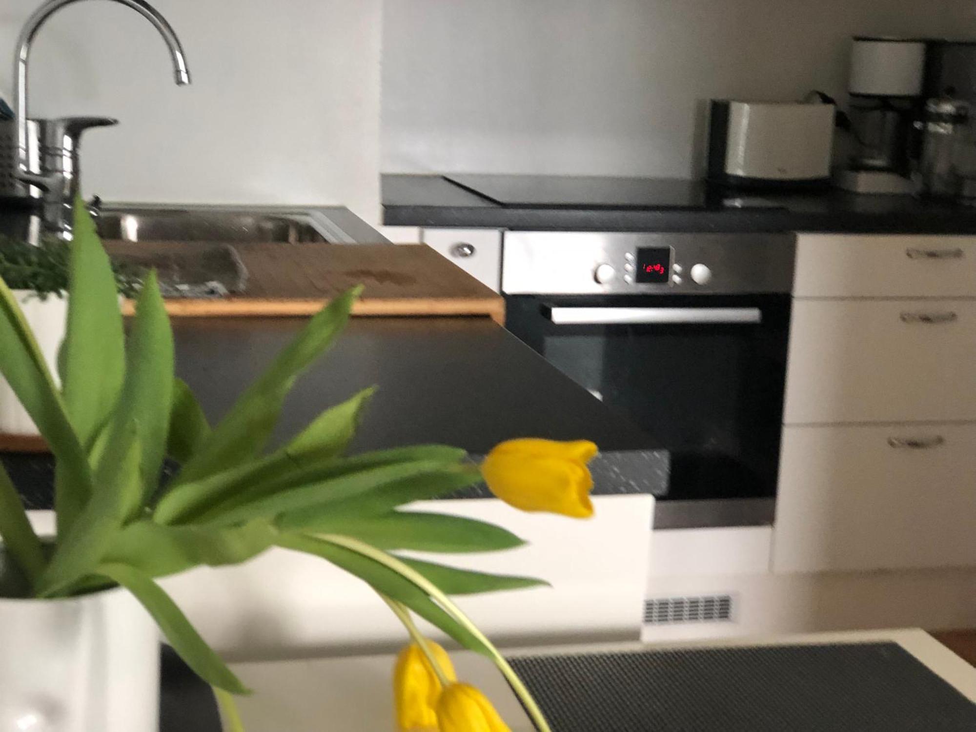 Scandinavian Design Heart City Center Runeberginkatu ヘルシンキ エクステリア 写真